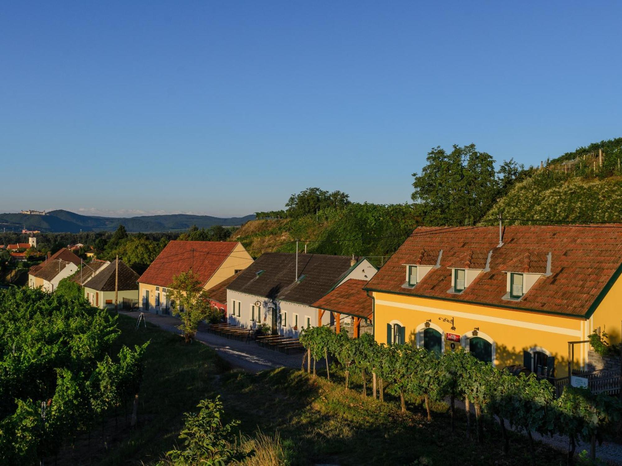 Отель Gaestehaus Familie Trachsler Rohrendorf bei Krems Экстерьер фото