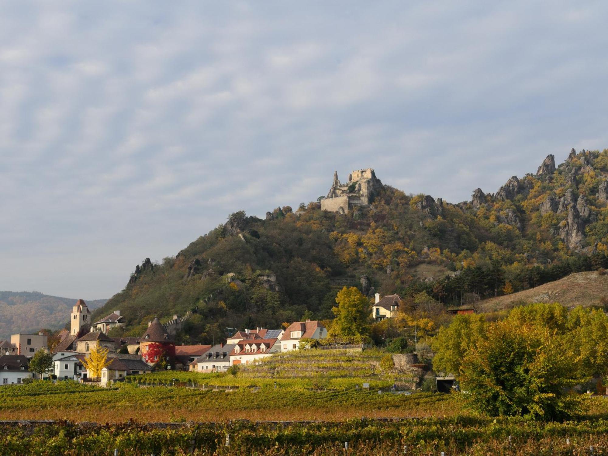 Отель Gaestehaus Familie Trachsler Rohrendorf bei Krems Экстерьер фото